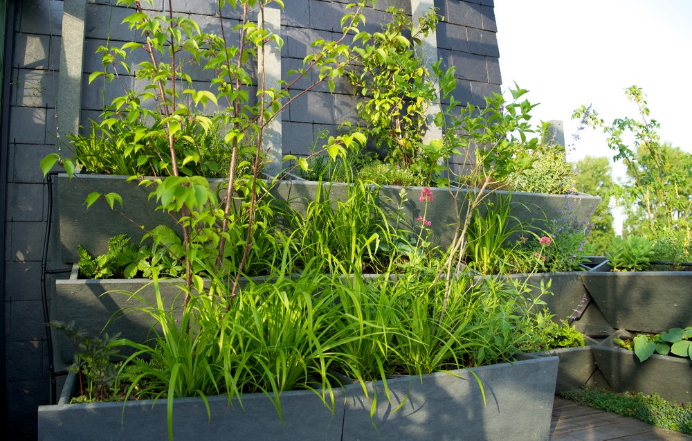 Green rooftop garden in Arnhem