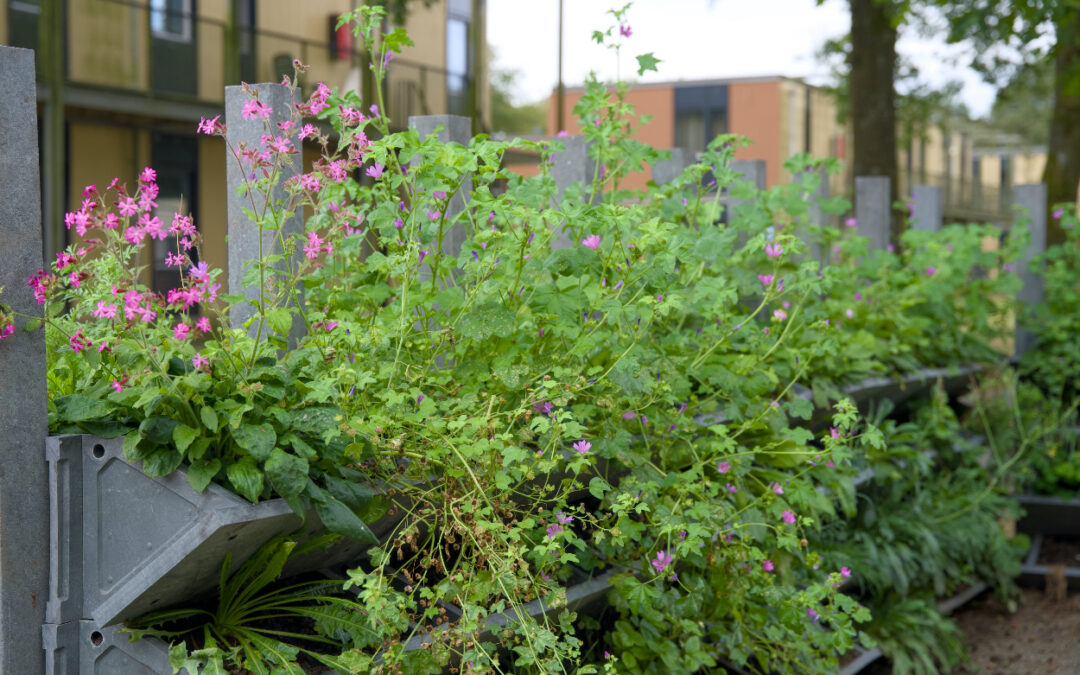 Biologische plantenmix succesvol voor verticaal tuinieren