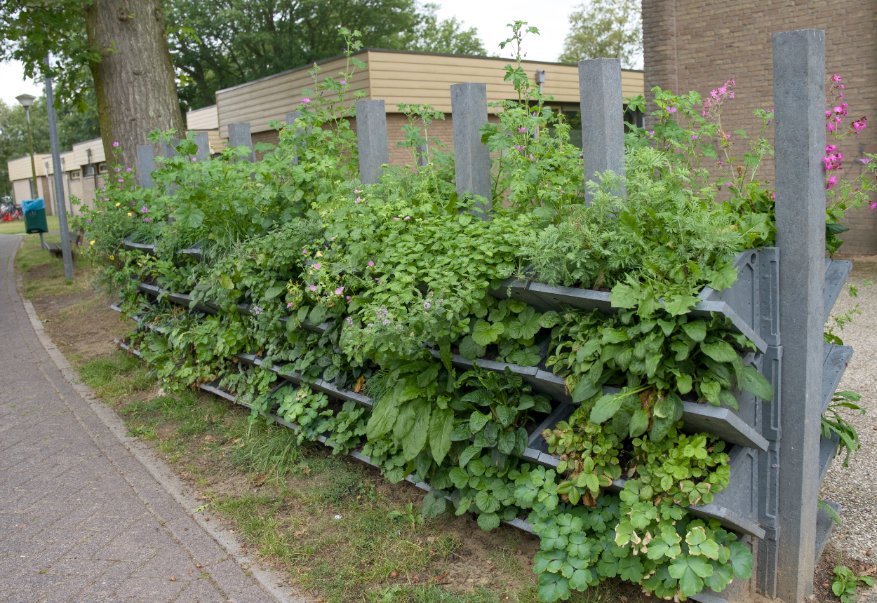 Groene-gevel-met-biologische-inheemse-planten